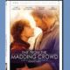 far from the madding crowd pdf