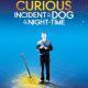 The Curious Incident of the Dog in the Night-time Pdf