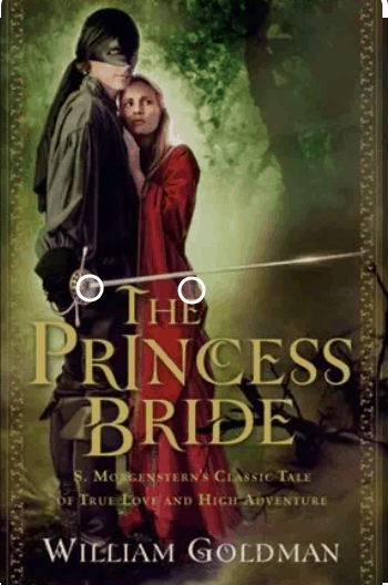 The Princess Bride PDF