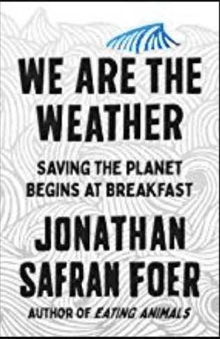 We Are the Weather PDF