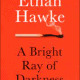 A Bright Ray of Darkness PDF