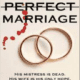 The Perfect Marriage PDF